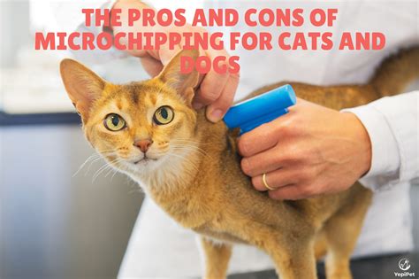 microchip pros and cons